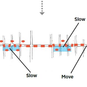 Move/Slow